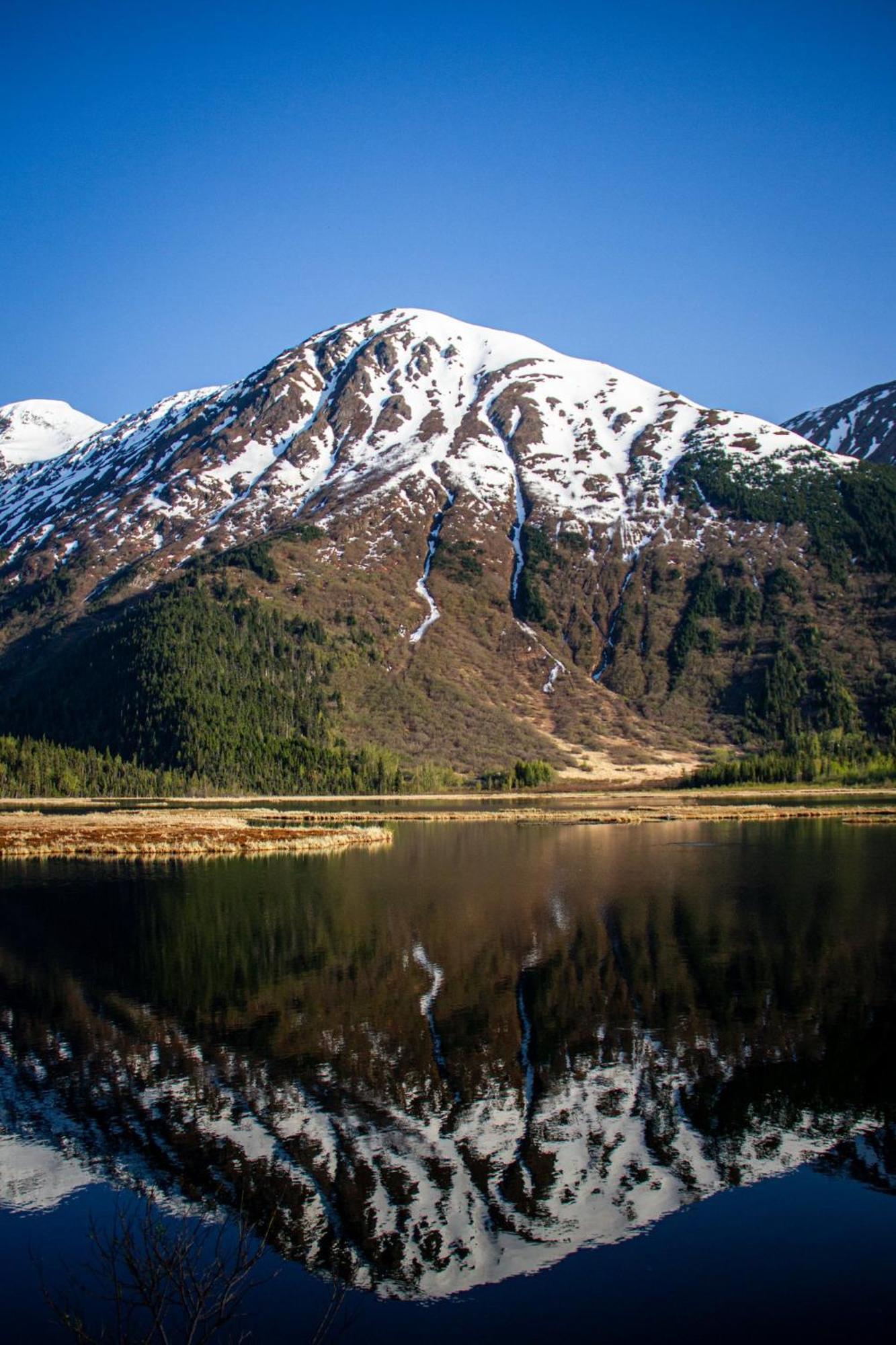 Aviator Hotel Anchorage Luaran gambar